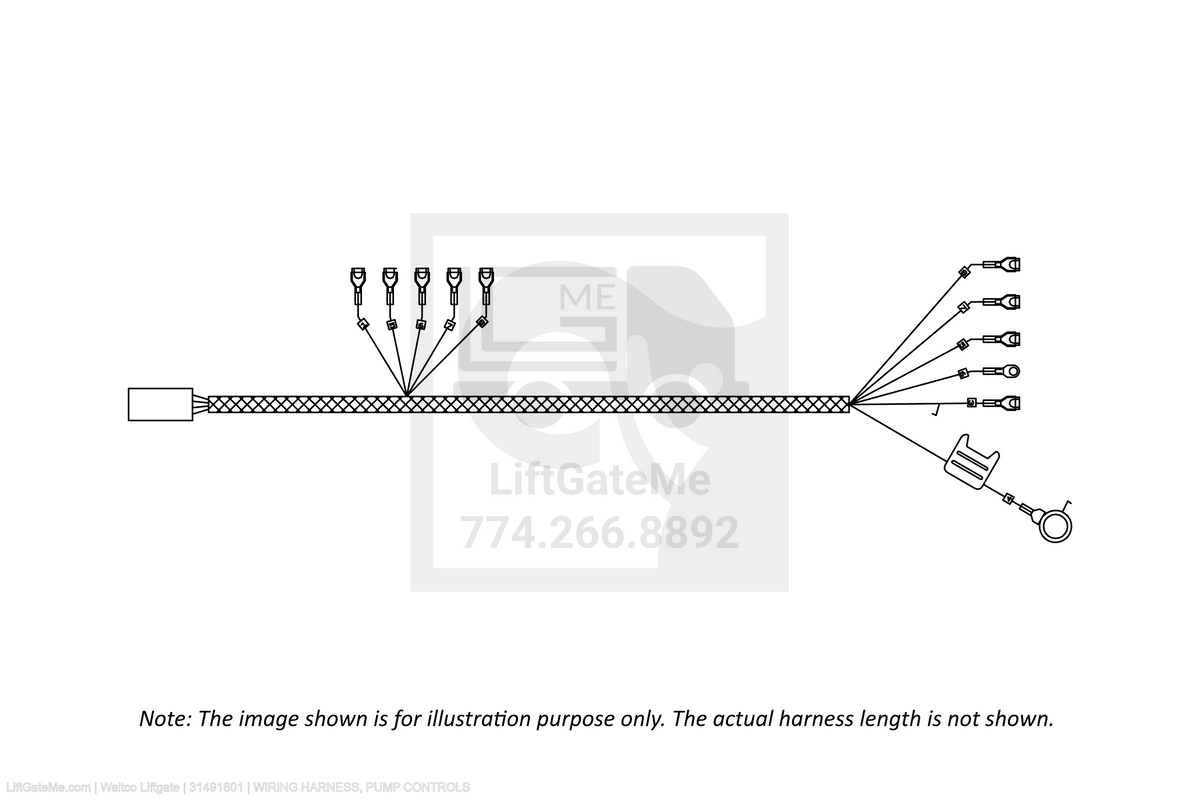 Waltco Liftgate Part Number 31491801 | wiring harness, pump controls