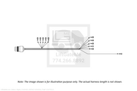 Waltco Liftgate Part Number 31491802 | wiring harness, pump controls