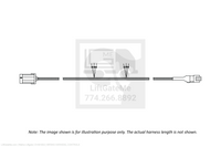 Waltco Liftgate Part Number 31491902 | wiring harness, controls