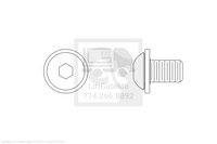 Waltco Liftgate Part Number 31493601 | bleeder screw