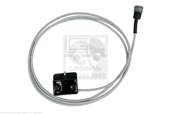 D・company！ Spark Plug Wire Kit Blue Streak 10065 Standard Motor Blue
