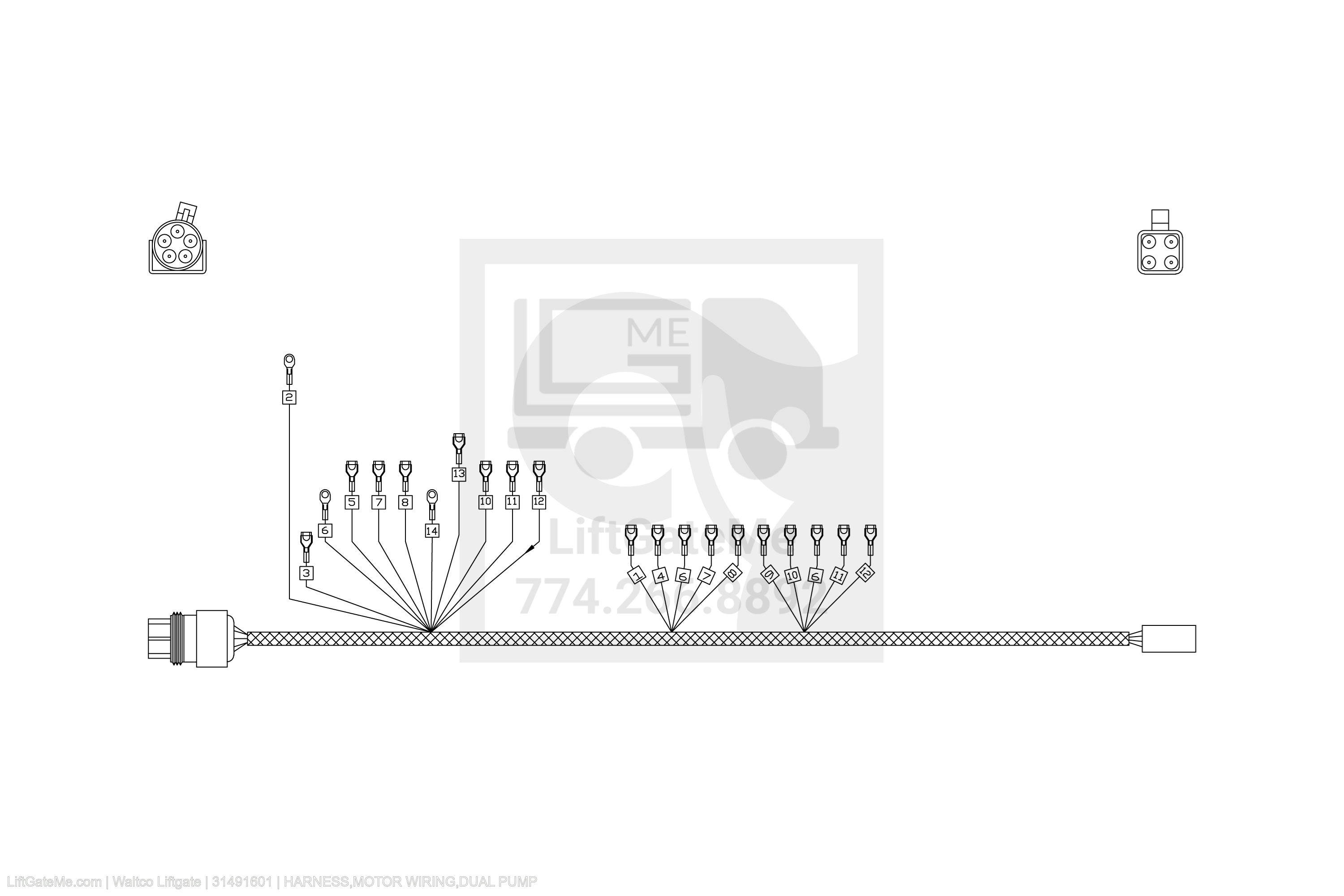 Waltco Liftgate Part Number 31491601 | harness,motor wiring,dual pump