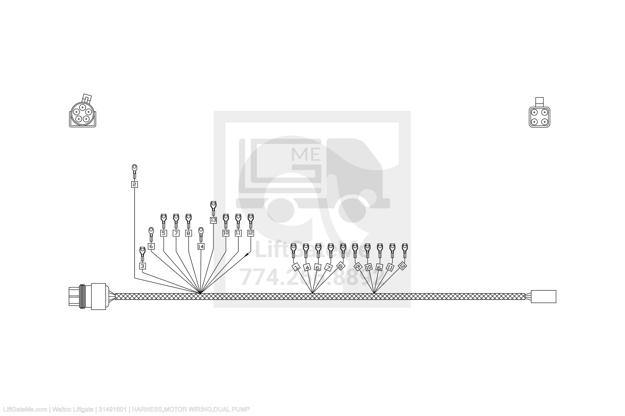 Waltco Liftgate Part Number 31491601 | harness,motor wiring,dual pump