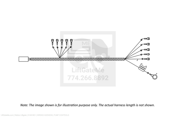 Waltco Liftgate Part Number 31491801 | wiring harness, pump controls