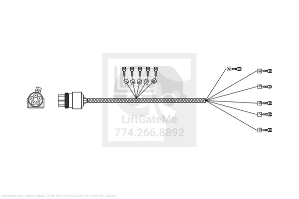 Waltco Liftgate Part Number 31491803 | harness,motor control,single
