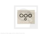 Waltco Liftgate Part Number 33142tl | o-ring set valve 21621