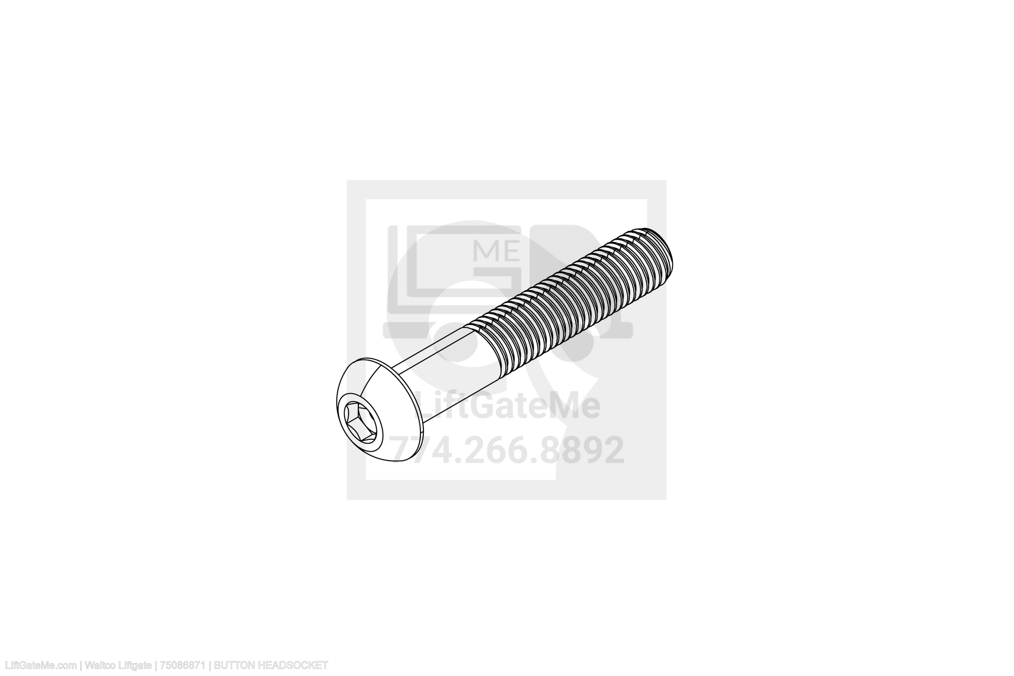 Waltco Liftgate Part Number 75086871 | button headsocket