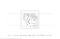 This is an image for a Waltco liftgate Polypropylene Webbing 2" Black